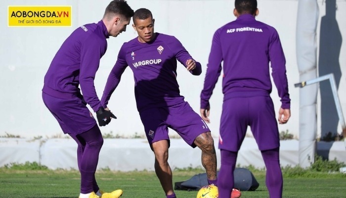 Mẫu áo Fiorentina training màu tím trơn tay dài đơn giản