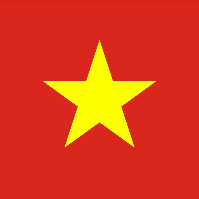 Áo Đội Tuyển Việt Nam