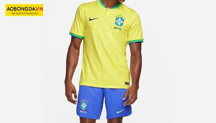 Màu sắc áo Brazil 2022 
