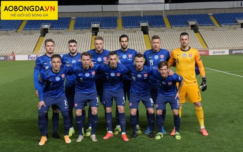 Áo bóng đá Slovakia Euro tay dài