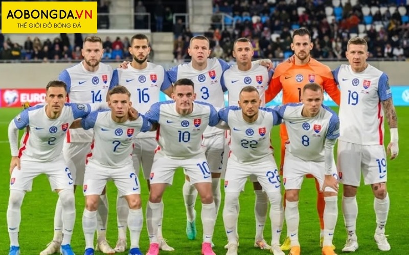 Áo đá bóng Slovakia Euro 2024 sân khách